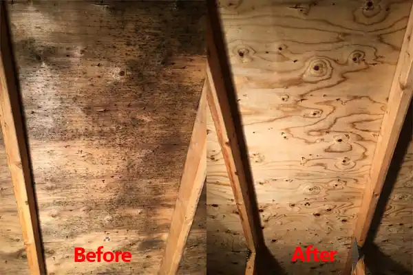 water damage restoration service Hernandez